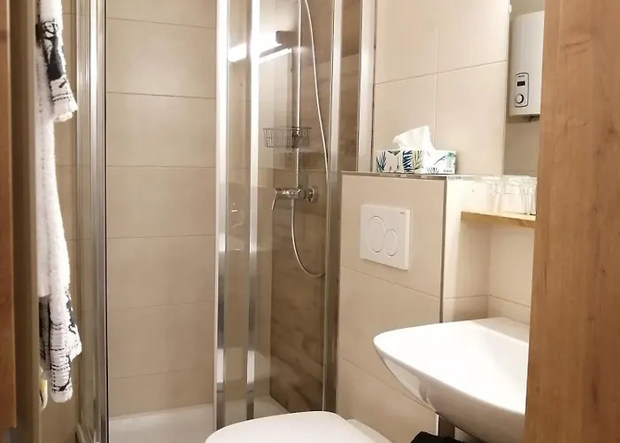 Haus Ditzer - Theresia Guest house Zell am See